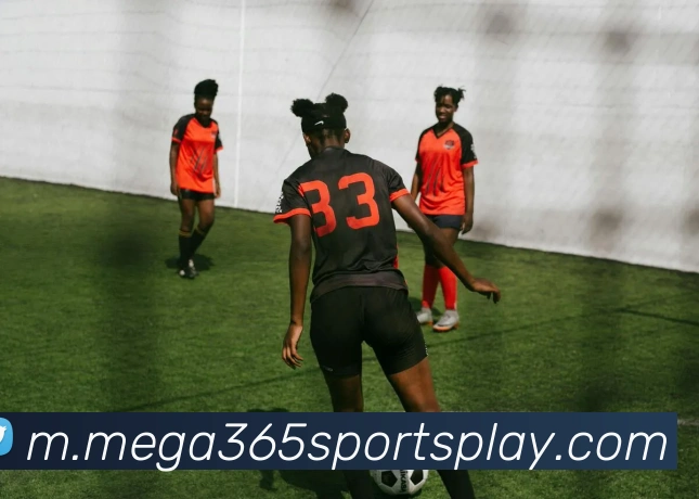 奖项证书